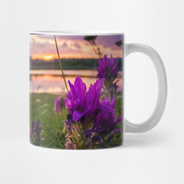 purple wildflowers by psychoshadow